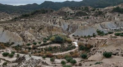 Apartments - Sale - Abanilla - Abanilla