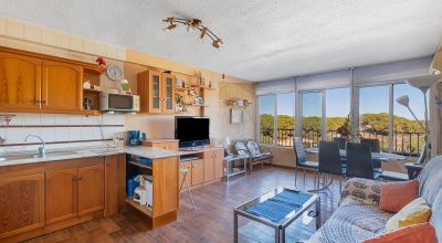 Apartments - Sale - Guardamar del Segura - Guardamar del Segura