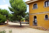 Sale - Finca - Ciudad Quesada