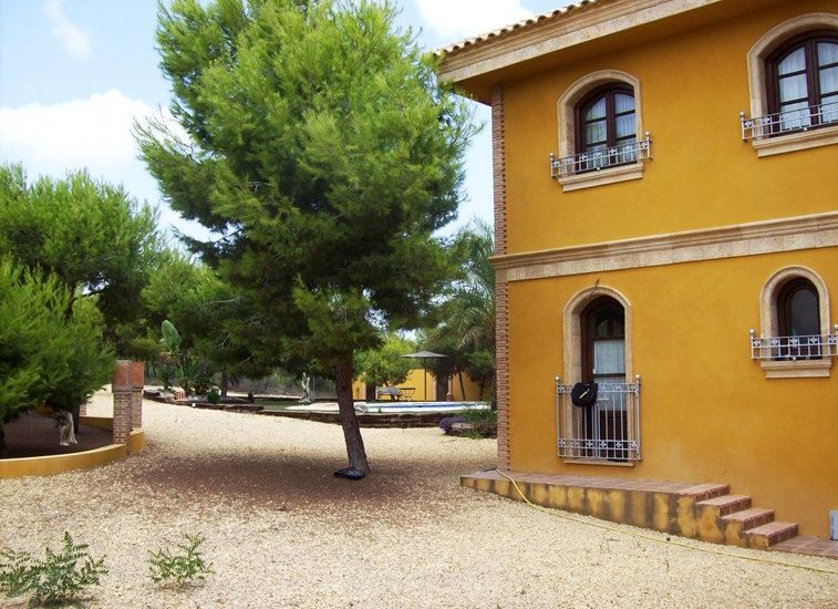 Sale - Finca - Ciudad Quesada
