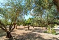 Venta - Casa Rural - Aspe