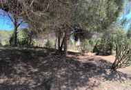 Venta - Bungalow - Guardamar del Segura