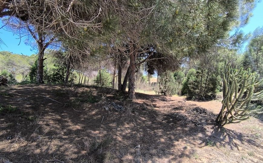 Venta - Bungalow - Guardamar del Segura