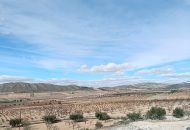 New Build - Villa - Cañada de la Leña