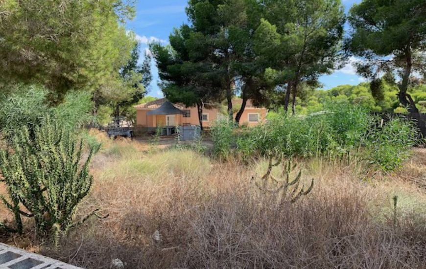 Sale - Land - Algorfa