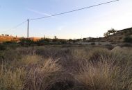 Sale - Finca - Elche