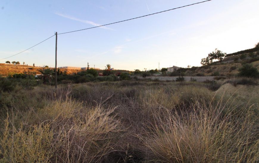 Sale - Finca - Elche