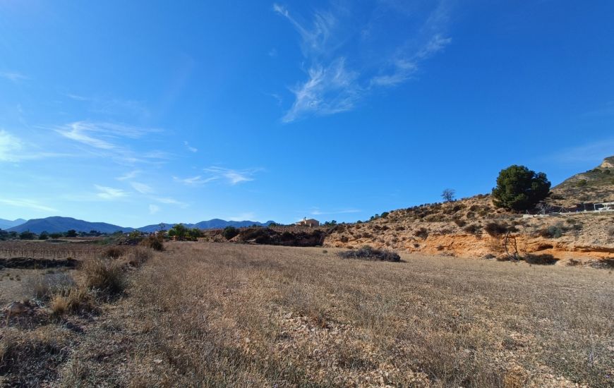 New Build - Country Property - Novelda