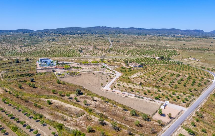 Sale - Villa - Torremendo