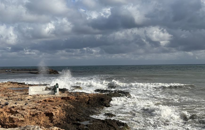 Venta - Apartamentos - Torrevieja