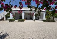 Sale - Finca - Torrellano