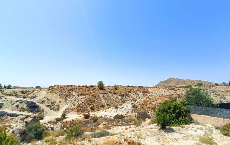 Sale - Finca - Abanilla