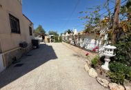 Sale - Finca - Catral