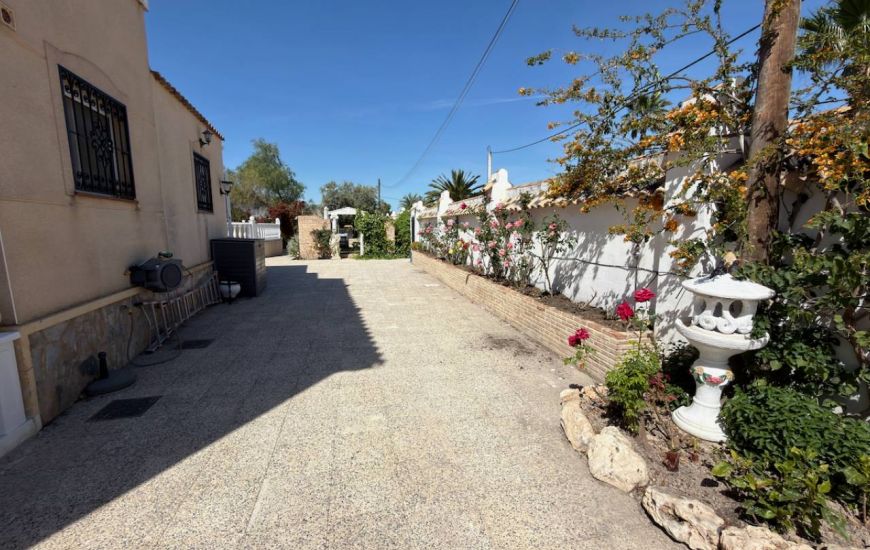 Sale - Finca - Catral