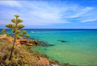 New Build - Villa - Los Altos