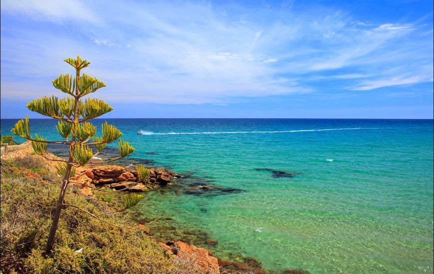 New Build - Villa - Los Altos