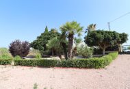 Venta - Casa Rural - Callosa de Segura