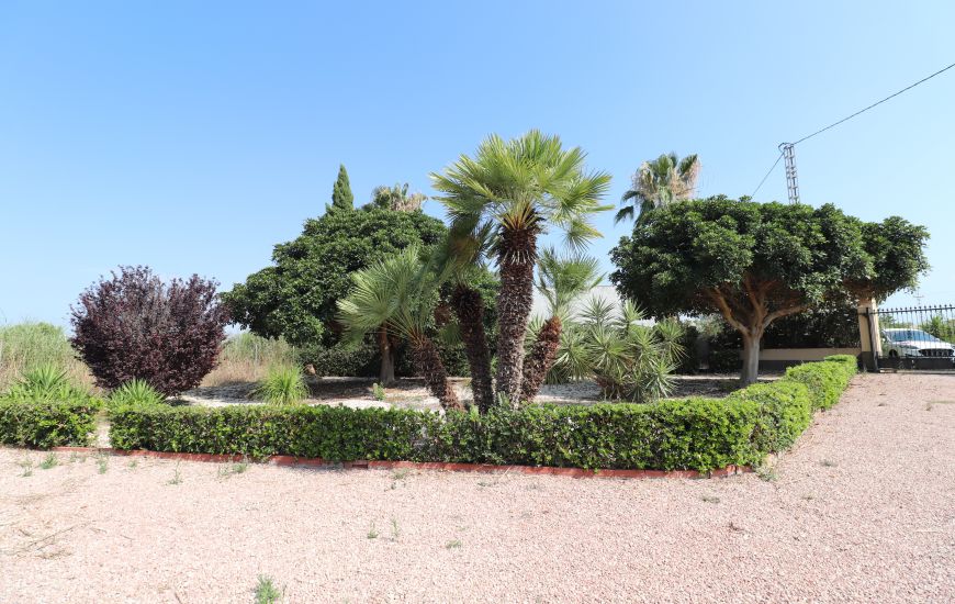 Venta - Casa Rural - Callosa de Segura
