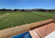 Venta - Apartamentos - Formentera Del Segura - Formentera del Segura