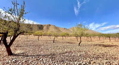 Land - Sale - Orihuela - Orihuela