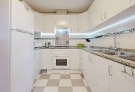 Sale -  - San Miguel de Salinas - 