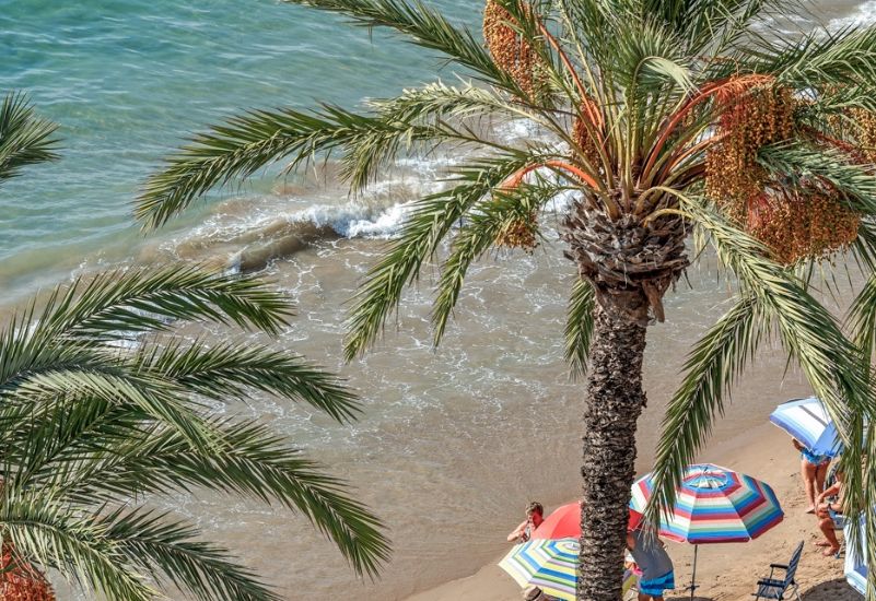 Venta - Apartamentos - Torrevieja