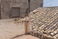 Venta - None - Barinas