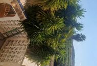 Venta - Casa Rural - Rojales