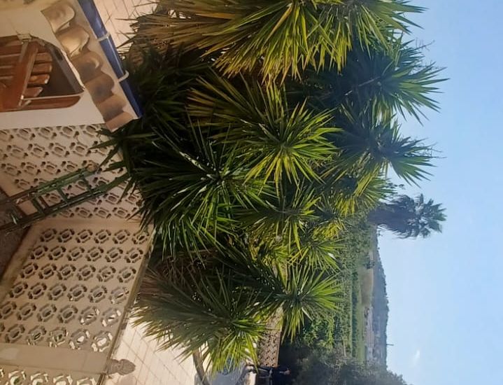 Venta - Casa Rural - Rojales