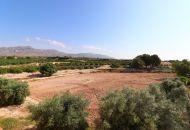 Sale - Finca - Albatera