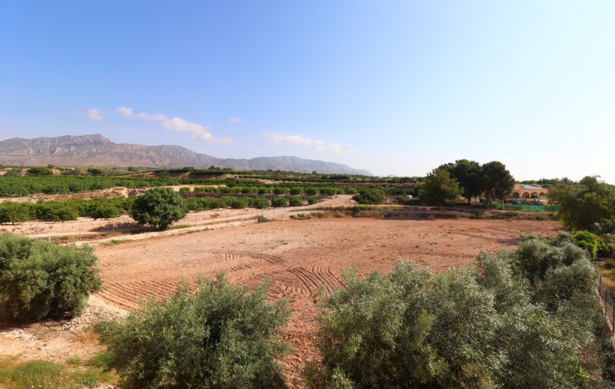 Sale - Finca - Albatera