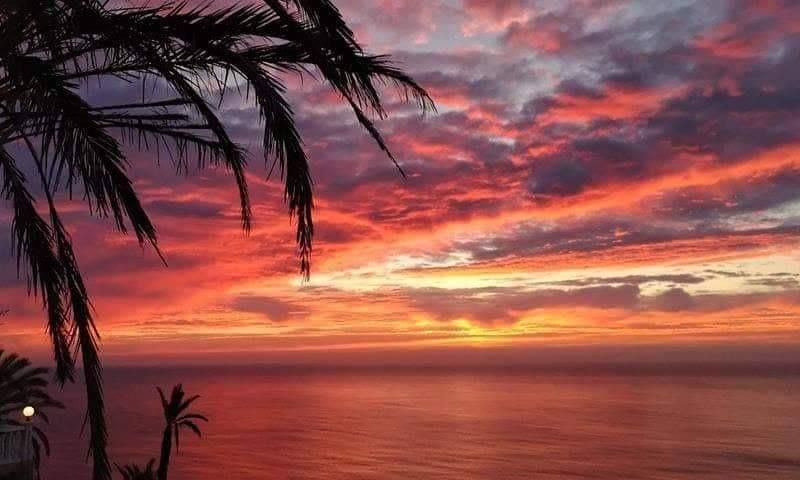 Venta - Bungalow - Torrevieja