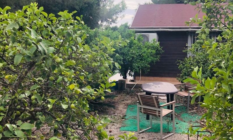 Venta - Apartamentos - Orihuela