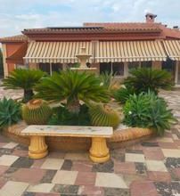 Apartments - Sale - Elche - Elche
