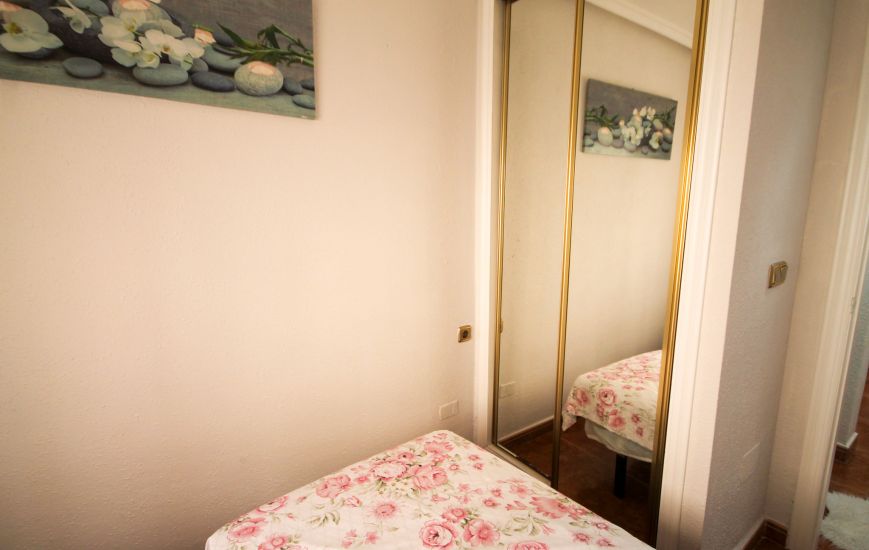 Sale -  - San Miguel de Salinas - 