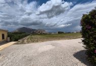Sale - Finca - Orihuela
