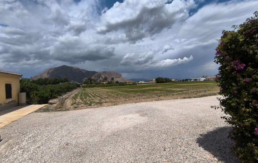 Sale - Finca - Orihuela