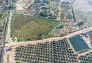 Sale - Land - Crevillente - Crevillent