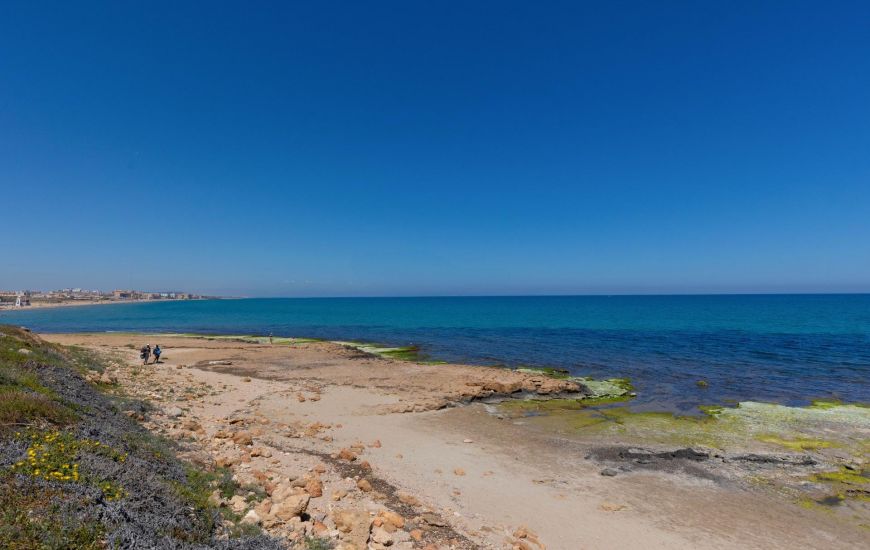 Venta - Apartamentos - Torrevieja