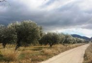 Venta - Terreno - Biar