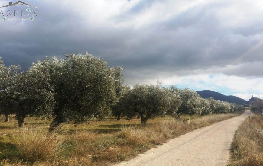 Venta - Terreno - Biar