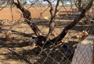 Venta - Casa Rural - 