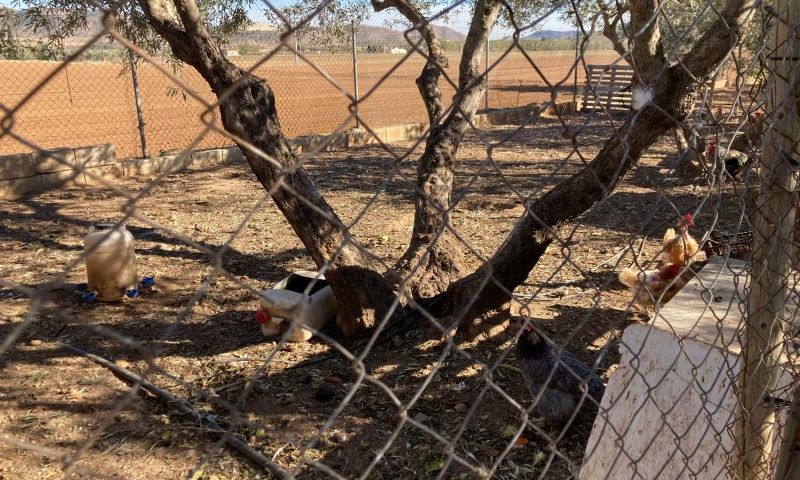 Venta - Casa Rural - 