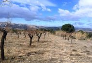 Venta - Terreno - Biar