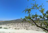 New Build - Finca - Pinoso