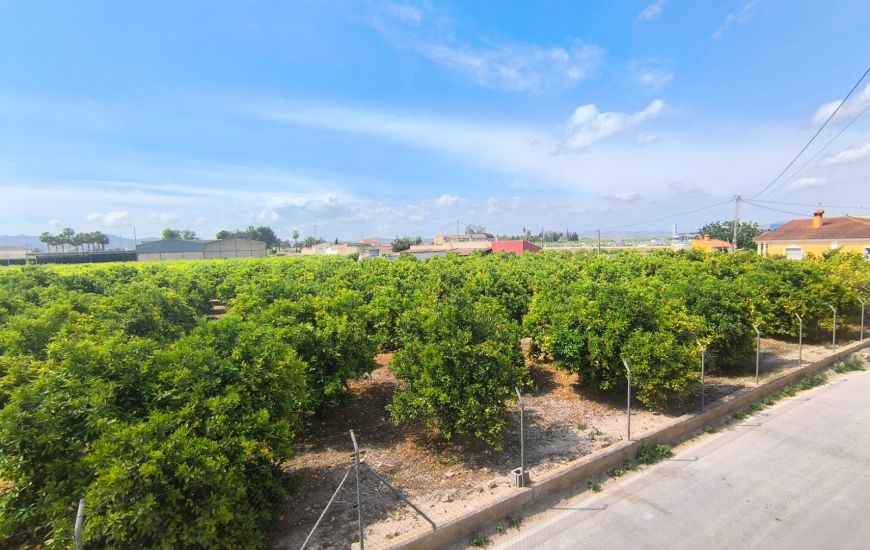 Sale - Apartments - Benejúzar - Benejuzar