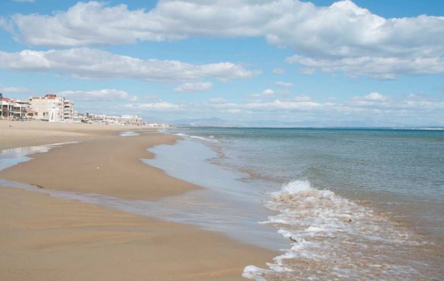  - Apartamentos - Guardamar del Segura