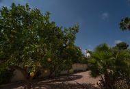 Venta - Villa - Ciudad Quesada
