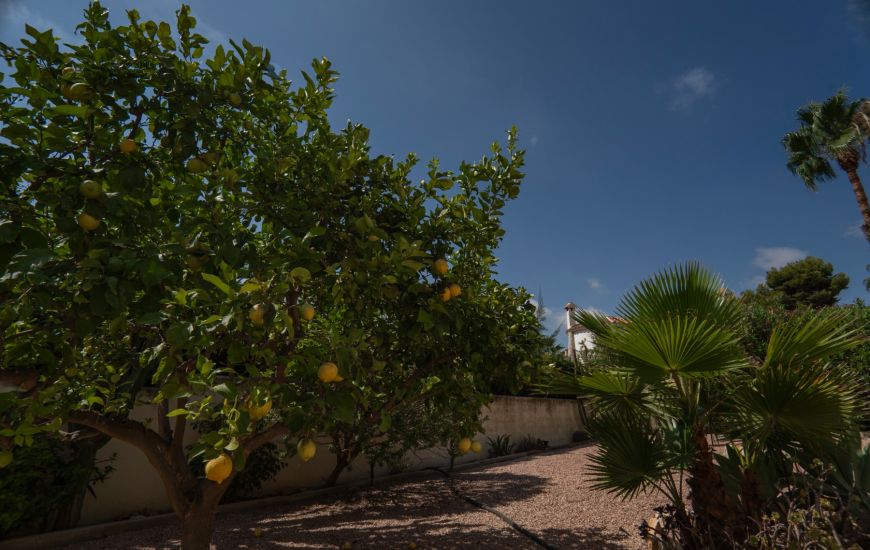 Venta - Villa - Ciudad Quesada