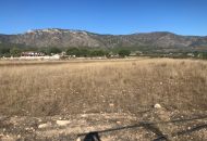 Venta - Terreno - Salinas